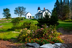 Wildflowers Garden by Burnt Island Lighthouse in Maine